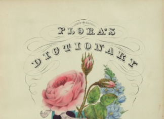 FLORIOGRAPHY – A Flower’s Secret Meaning