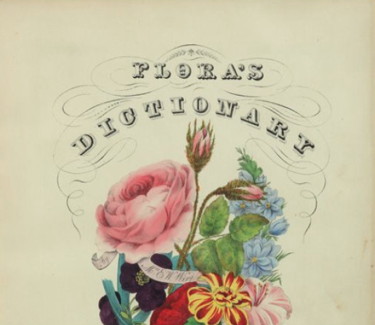 FLORIOGRAPHY – A Flower’s Secret Meaning